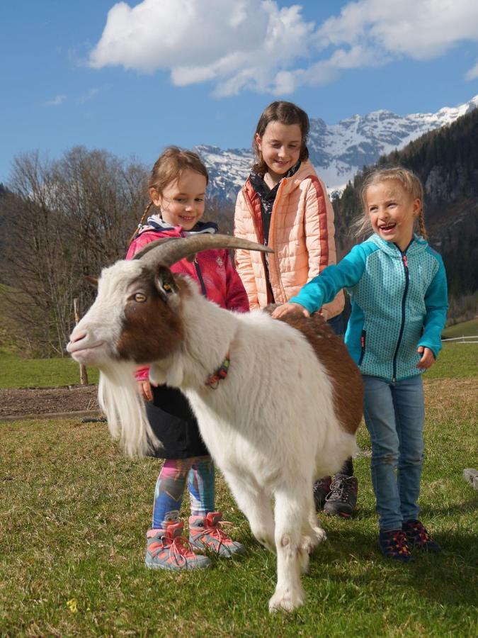Ferienwohnungen Foidlhof Hochfilzen Dış mekan fotoğraf