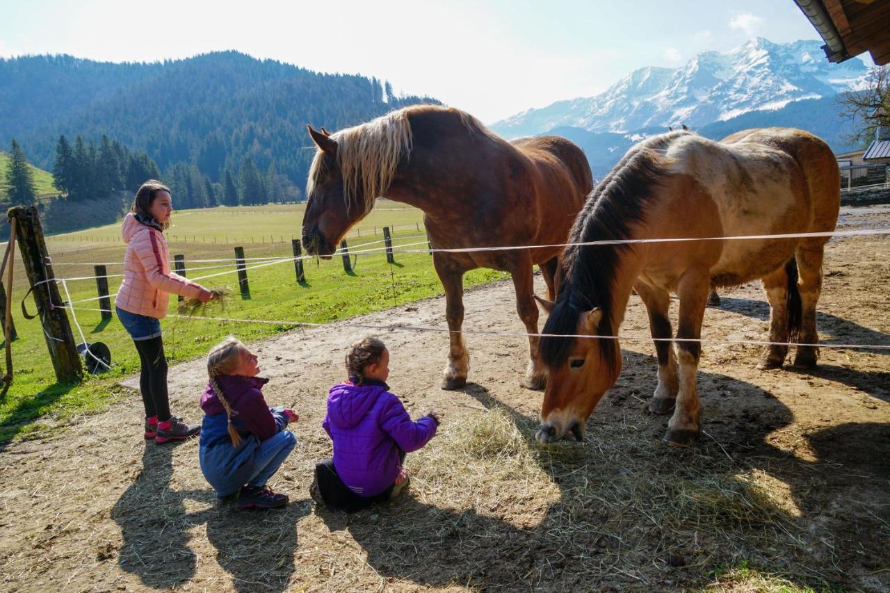 Ferienwohnungen Foidlhof Hochfilzen Dış mekan fotoğraf