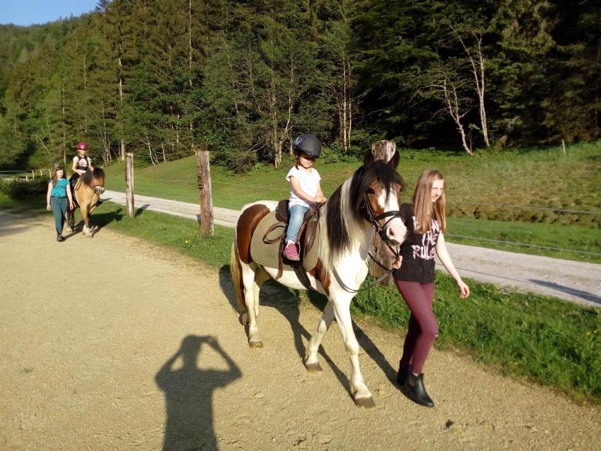 Ferienwohnungen Foidlhof Hochfilzen Dış mekan fotoğraf