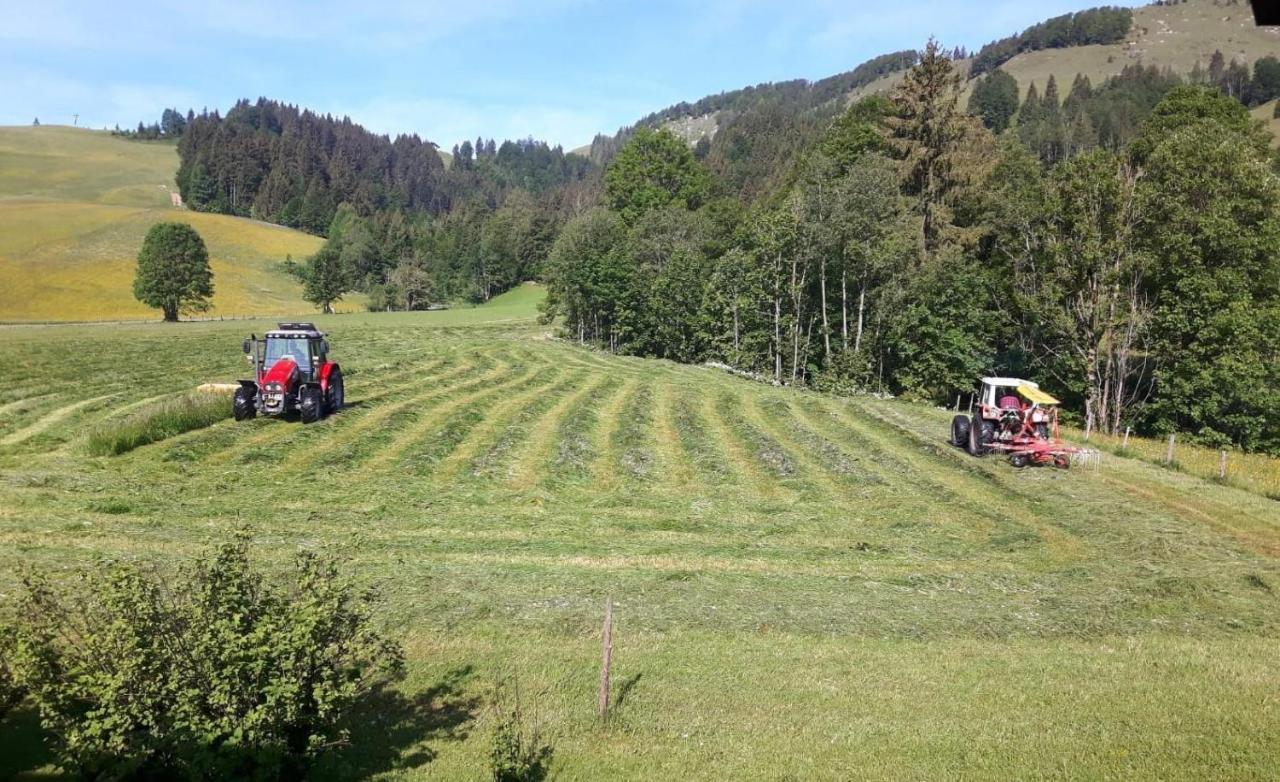 Ferienwohnungen Foidlhof Hochfilzen Dış mekan fotoğraf
