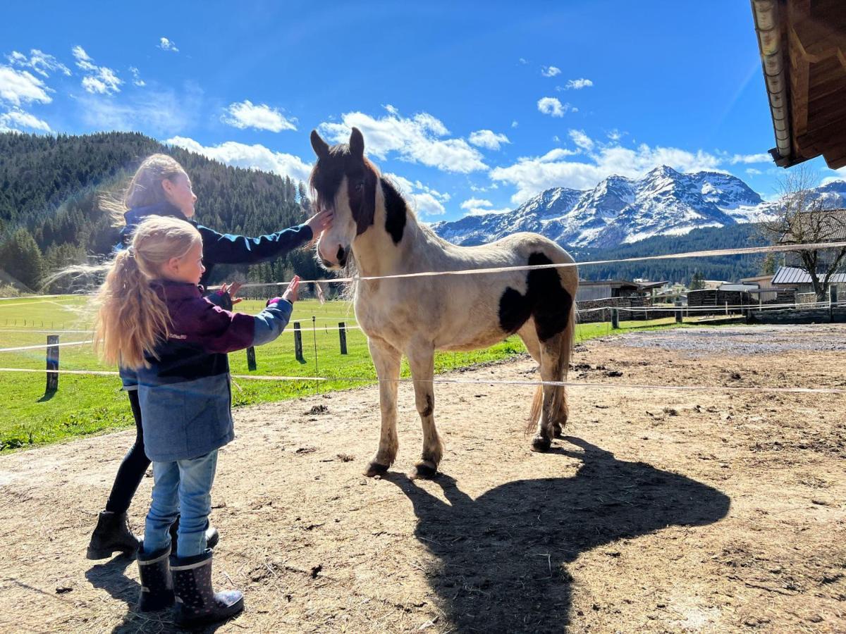 Ferienwohnungen Foidlhof Hochfilzen Dış mekan fotoğraf