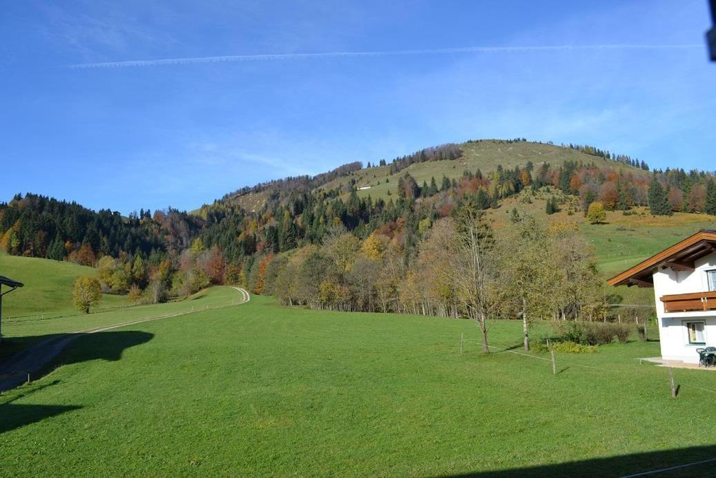 Ferienwohnungen Foidlhof Hochfilzen Dış mekan fotoğraf